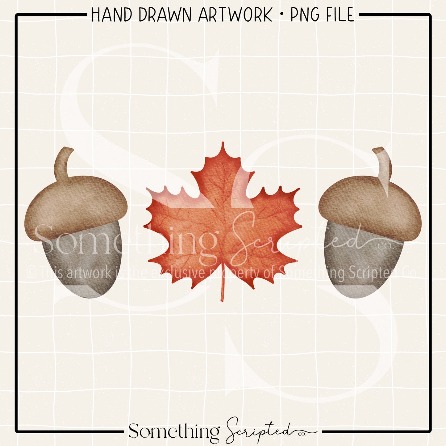 Acorn Leaf Trio PNG