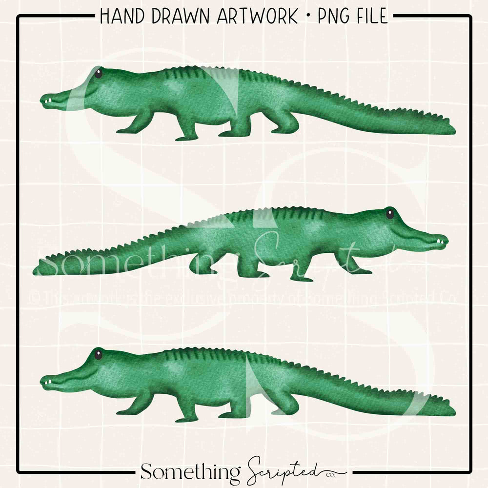 Alligator Trio PNG