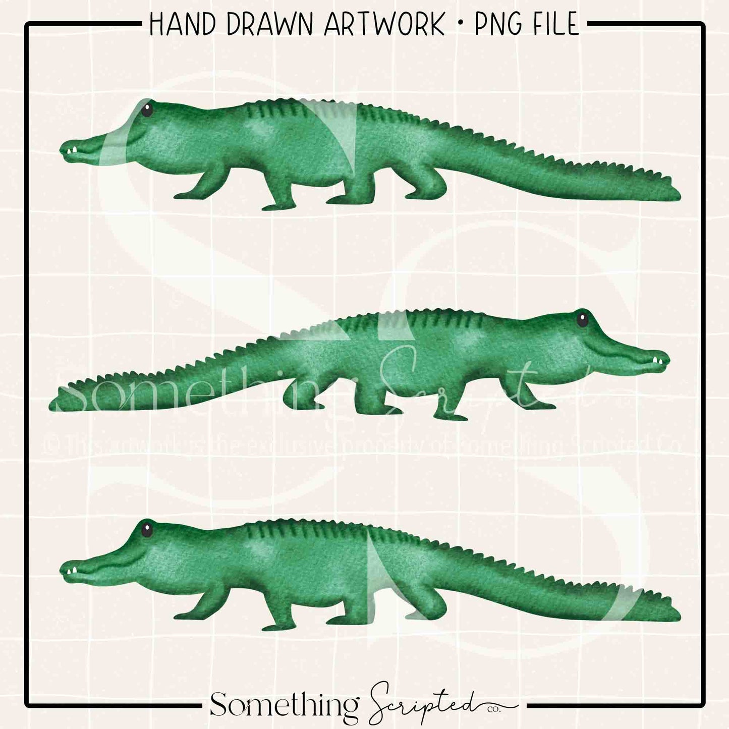 Alligator Trio PNG