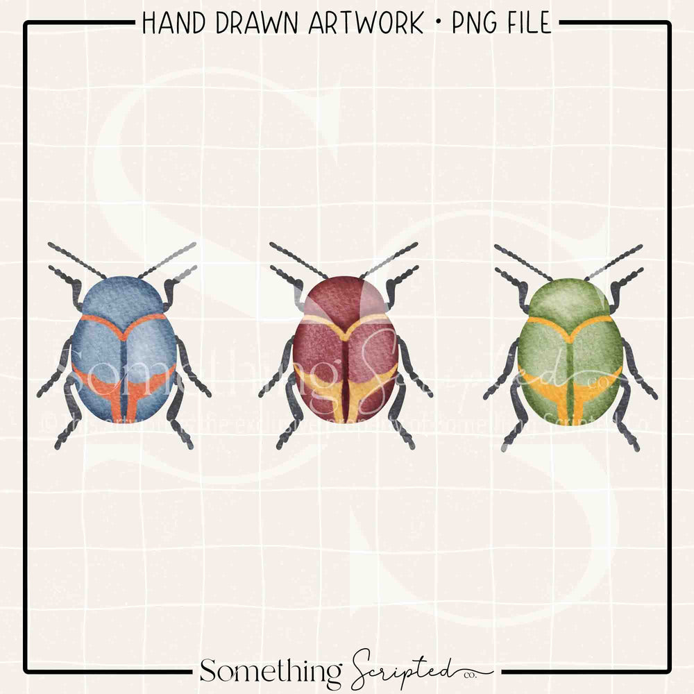 Beetle Trio PNG