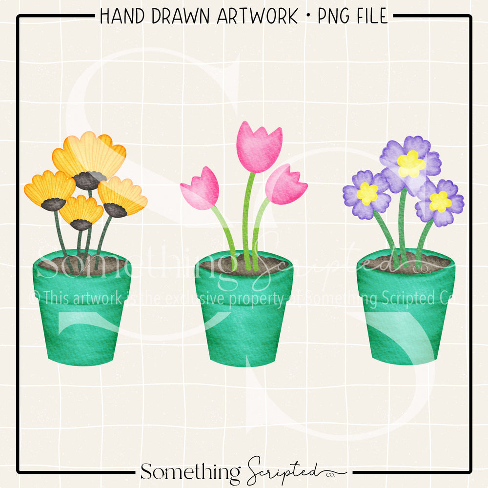 Flower Pots Trio PNG