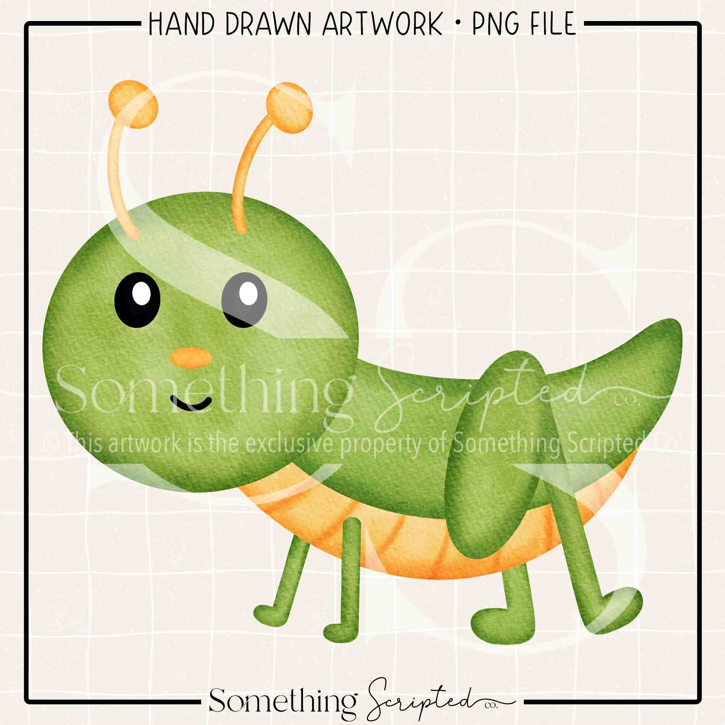 Grasshopper PNG