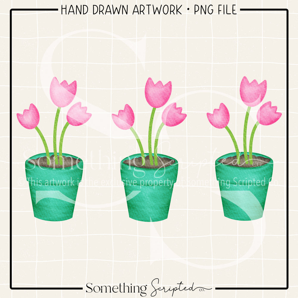 Pink Tulip Pots PNG