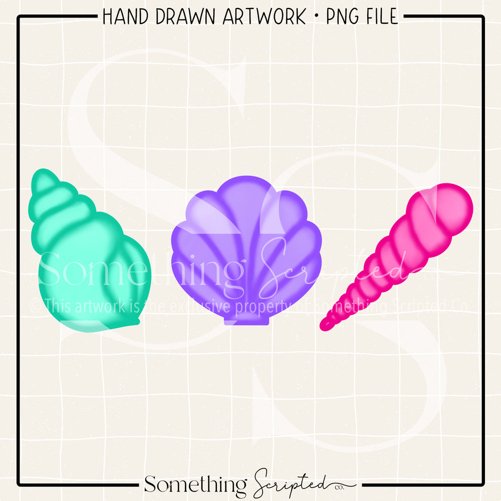 Seashell Trio PNG