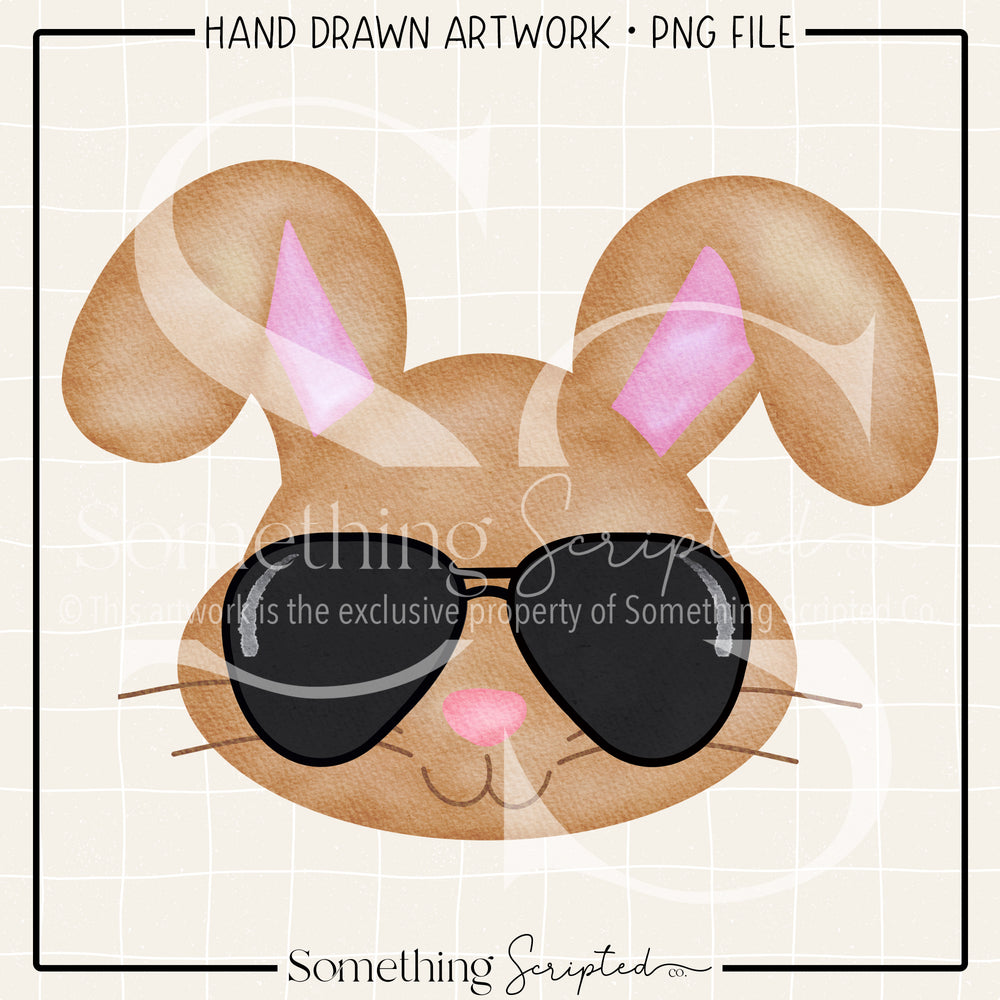 Sunglasses Bunny Boy PNG